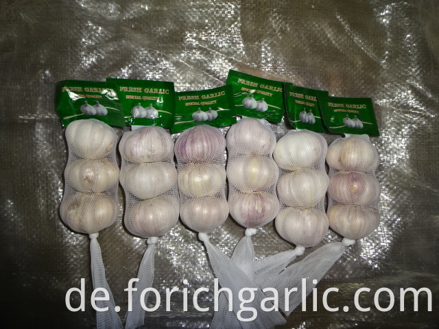 Fresh Regular White Garlic Crop 2019